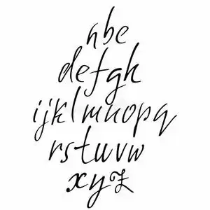 瑞士瑞士干酪图片