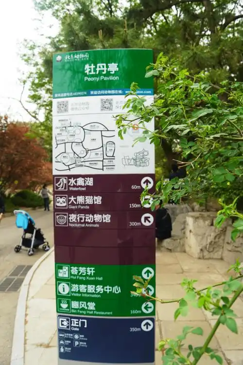 复工46天后的北京动物园动物们都睡醒了吗