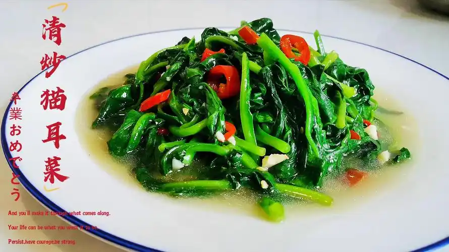 原创家常做清炒猫耳菜口感清淡爽滑原汁原味超好吃