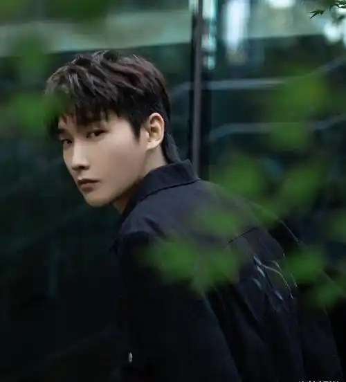 本以为邢昭林被曝光恋情之后,粉丝们都会引起一阵骚动,毕竟很多明星被