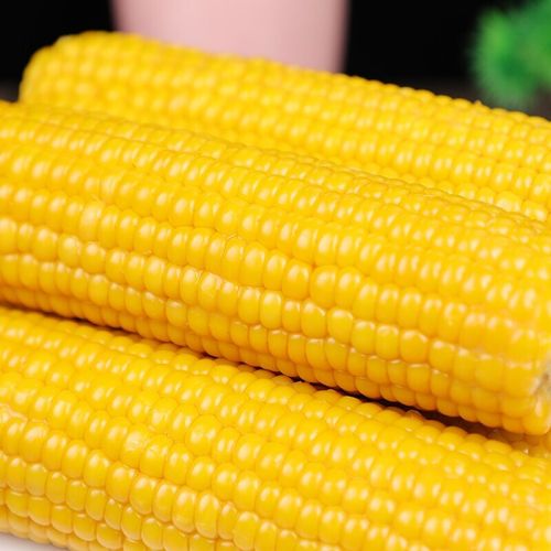 熟玉米 东北玉米黄糯玉米黑玉米非转基因黑黏甜糯香玉米棒真空装苞米