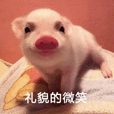 礼貌的微笑(猪猪)_猪猪_礼貌_微笑表情