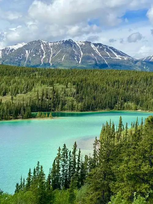 育空yukon很有意思的旅行