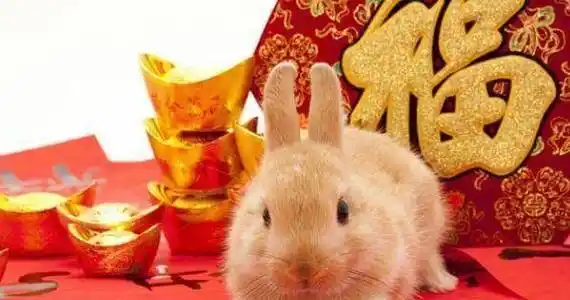 75年生肖属兔的人,切记2021年不要做这4件傻事,躲过去顺风顺水_机会