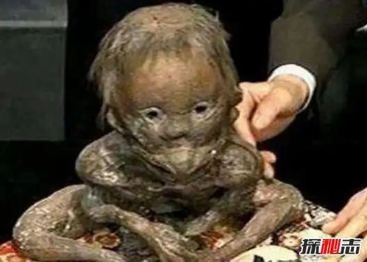 揭秘最真实的水鬼图片,水猴子强迫人落水当替死鬼