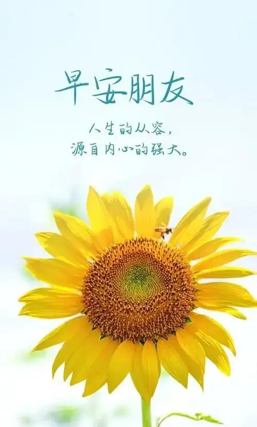 2月17日周五早安星期五清早慰问朋友的早上好暖心祝福语最新漂亮早晨