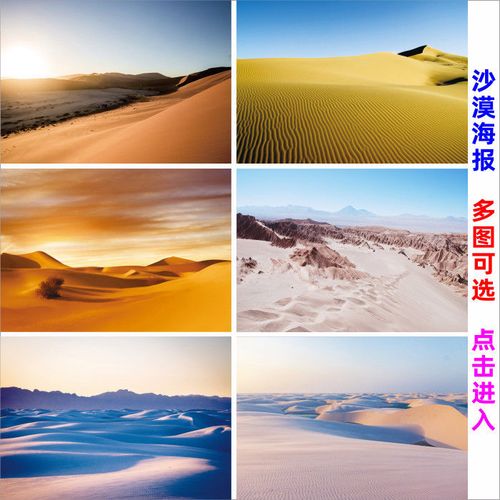 沙漠图戈壁沙漠骆驼沙丘海报蓝天宿舍房间装饰贴墙画自然风景画