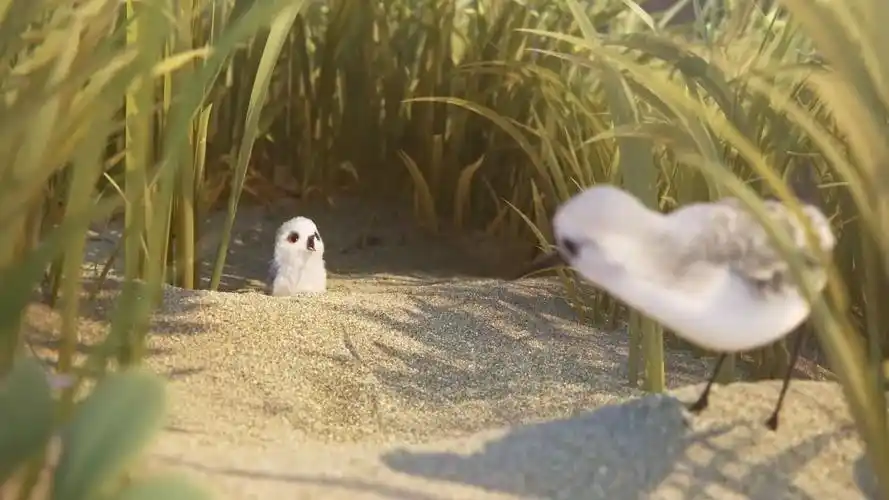 奥斯卡最佳动画短片《鹬》(piper)