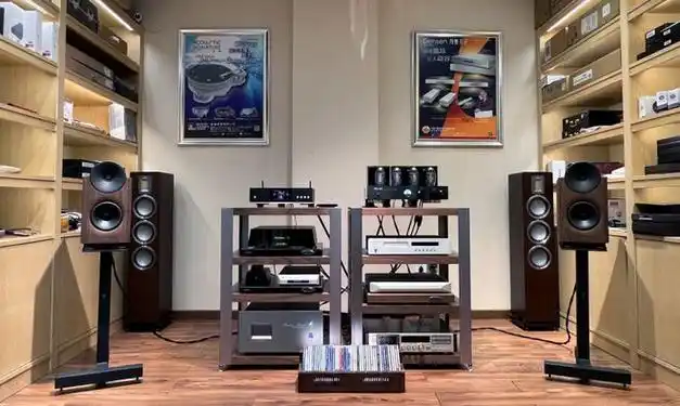 扮猪吃老虎——拉脱维亚aretai contra 100s书架音箱