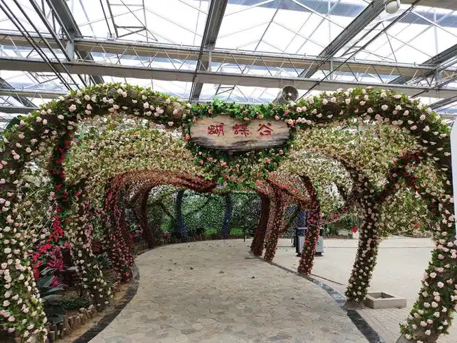 南和农业嘉年华位于河北省邢台市南和县,项目总投资3亿元人民币,规划