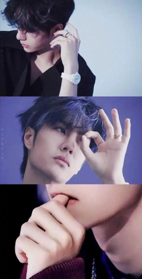 汪涵:你想一首歌送给树洞;王一博:我想不出来,我的歌单里没有