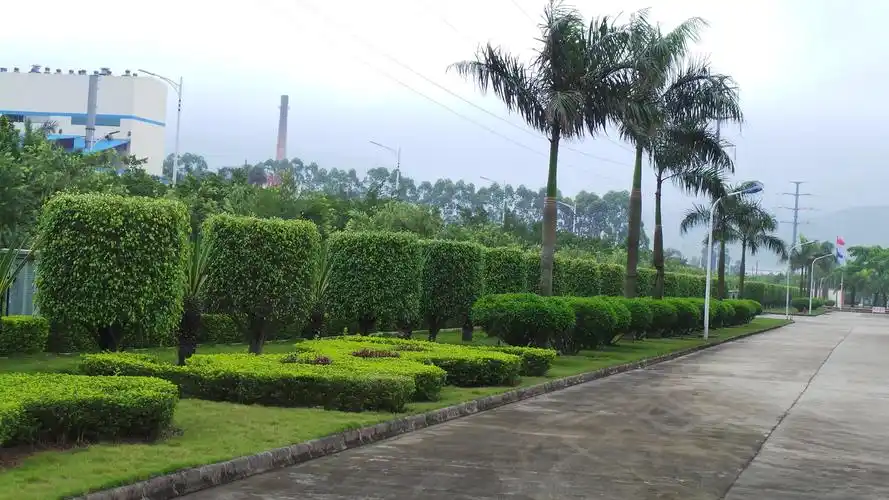 浅谈厂区绿化植物的选择原则
