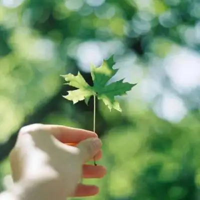 qq头像唯美意境淡雅风景照片