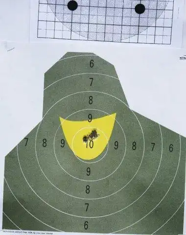 波兰军队狙击手枪法了得超小靶子枪枪十环_高清图集_新浪网