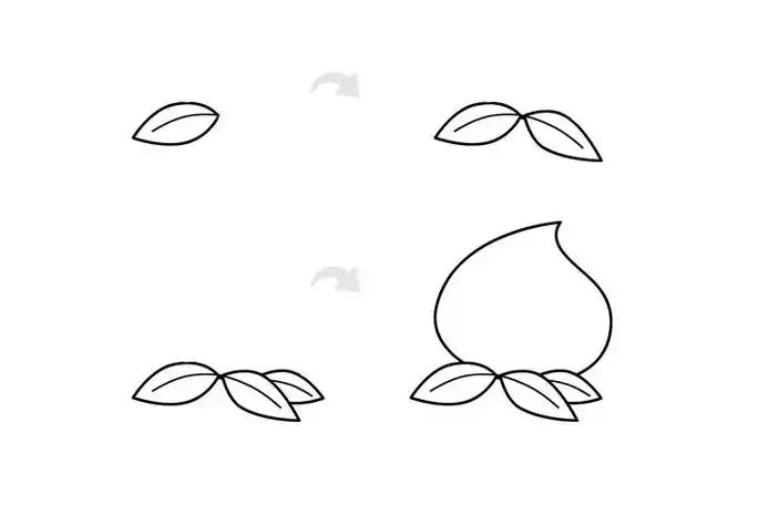 水蜜桃简笔画绘画步骤和图片