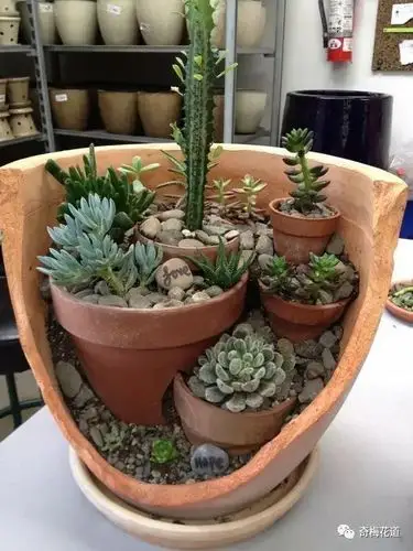 花艺创意破碎的花盆照样可以种花