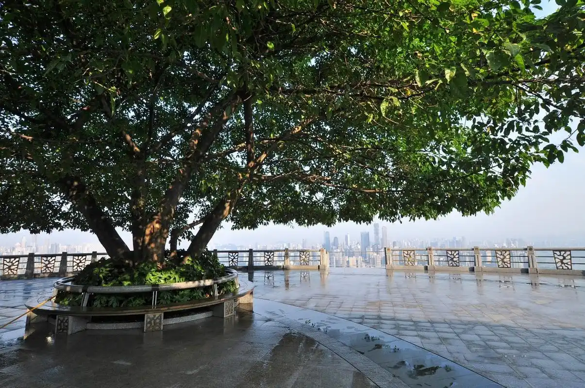 重庆景点:南山一棵树观景台