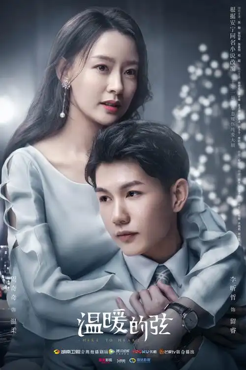 电视剧《温暖的弦》海报