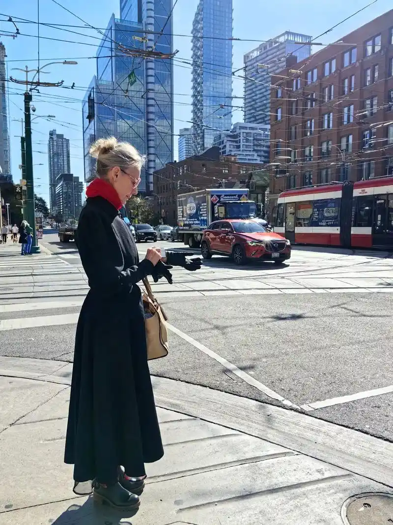 多伦多唐人街."你含笑,妆颜俏,低头绣娟纤指娇.  i  - 抖音