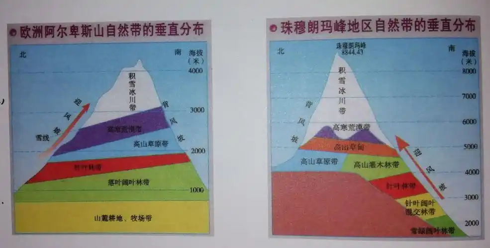 写美篇樊老师带领我们分析了阿尔卑斯山和喜马拉雅山的垂直自然带分布