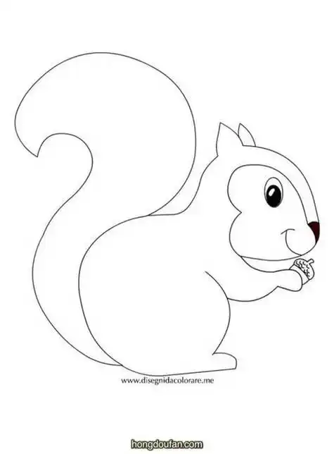 笔画北京动物园卡通可爱宠物小元素手绘小元素松鼠松鼠简笔画