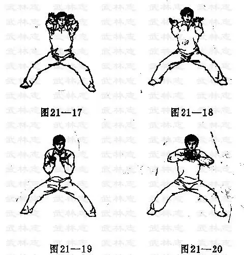 峨媚大力鹰爪童子功孟宪超卢绍敬