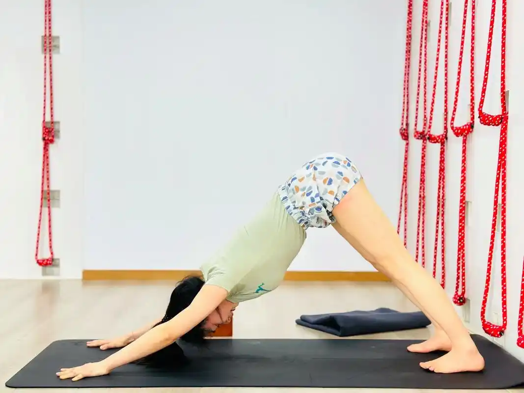 艾扬格瑜伽除了严谨,精准,纯粹,正位之外,在 - 抖音