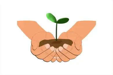 矢量图双手捧着一棵小嫩芽