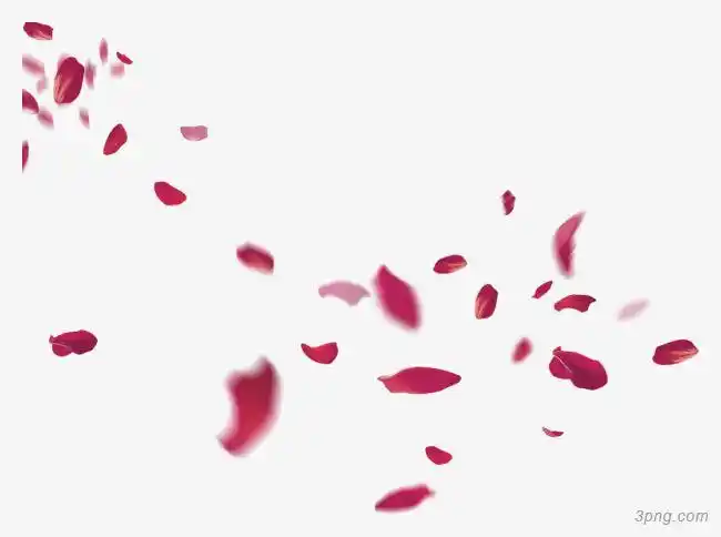 飘着的玫瑰花瓣png素材透明免抠图片-动植人物