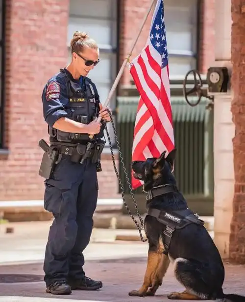 k9继续看小奶狗