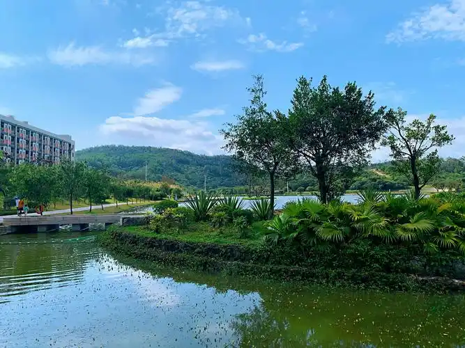 5.1长假最后一天～五月五日～龙岗湿地公园半日游