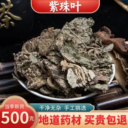 【精选货】紫珠叶中药材 紫珠草 止血草 紫竹叶 粉紫荆 紫株叶