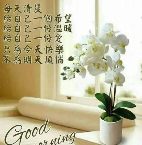 人生简单就好,生活开心就好!