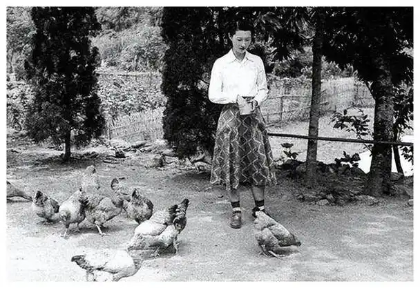 原创赵四小姐到底有多美一生让张学良痴迷老照片揭秘真实颜值