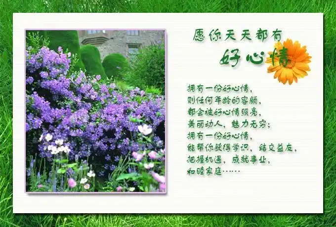 图文:愿你天天都有好心情 - summer69 - summer69的博客