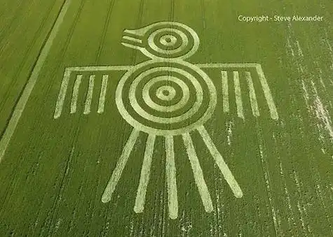 麦田怪圈的秘密,原来早就解开了?