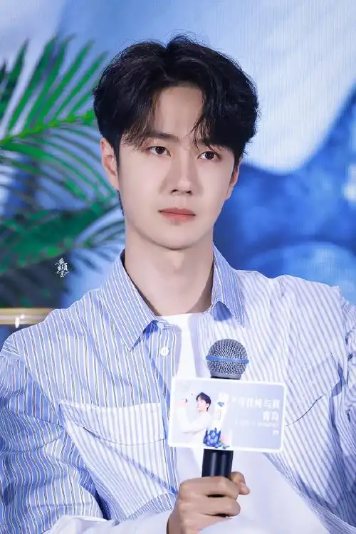 王一博纯甄品牌代言人