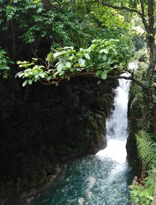 水上森林,汩汩泉水绕行