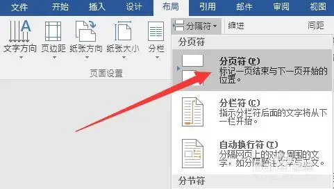 怎么在word文档里加一个空白页