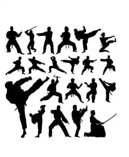 虽然动作潇洒漂亮,却已经偏离武术而趋向于舞蹈了.