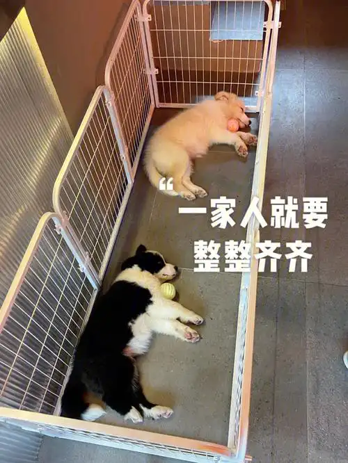 一家人就要整整齐齐