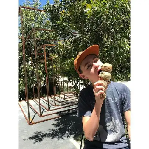 杰顿·李博赫 jaeden lieberher的图片