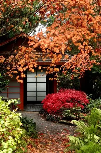 秋色宜人的别院