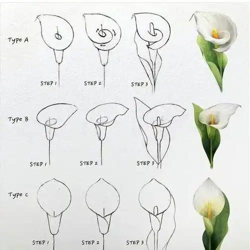 水彩花卉步骤图超级详细