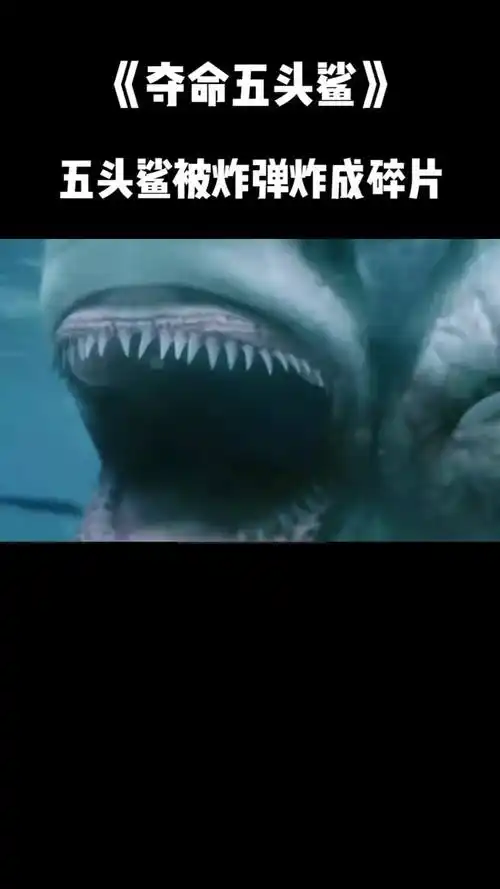 夺命五头鲨五头鲨吃掉诱饵被里面的炸弹炸成碎片