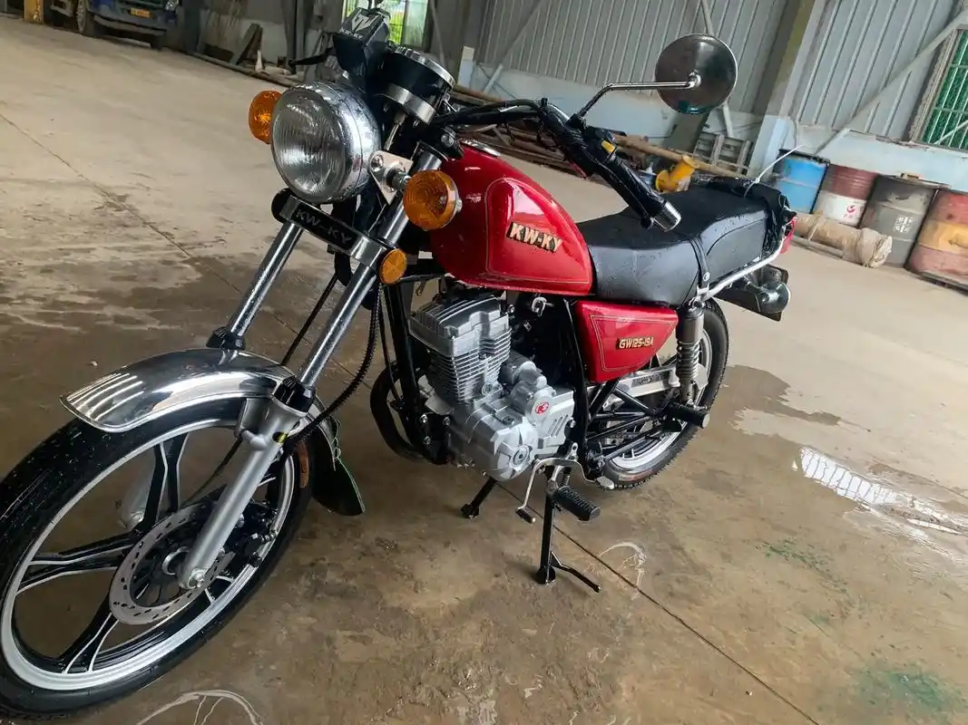 太子摩托车,顶杆有力.18年全新买的,光威牌太子摩托车,到现 - 抖音