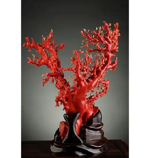 沙丁级红珊瑚树摆件-3