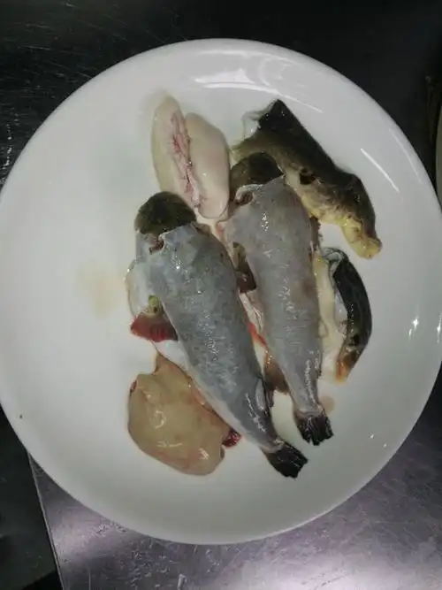 一年一季河豚来了,如此美味怎能错过