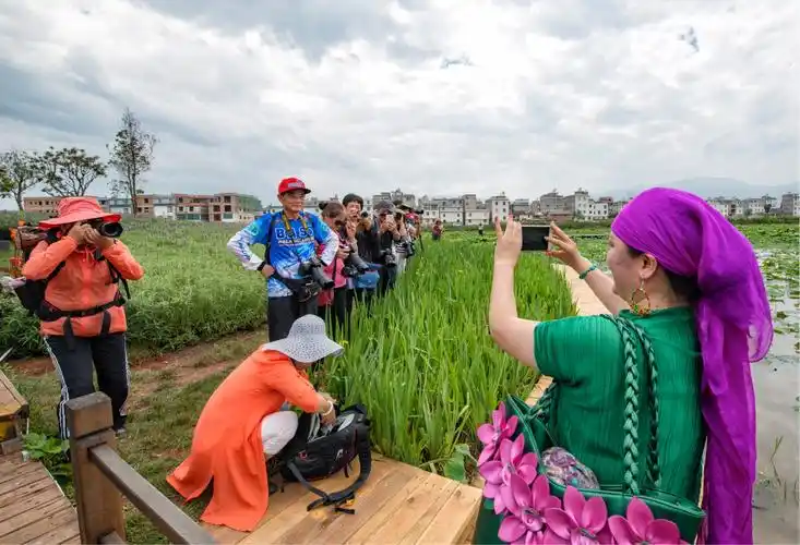 全国荷花展澄江分会场闭幕式中促会旗袍会-悦莲庄园会员主题日