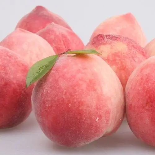 现货现摘新毛桃水果 安徽砀山毛桃 新鲜有机毛桃